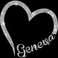 GLT36 SILVER GLITTER Thumbnail